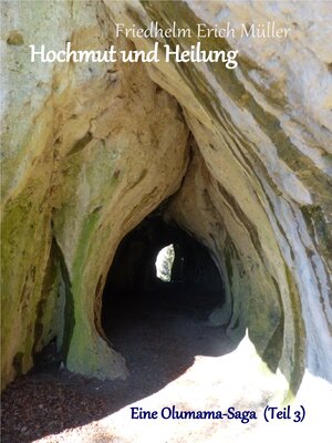 cover image of Hochmut und Heilung